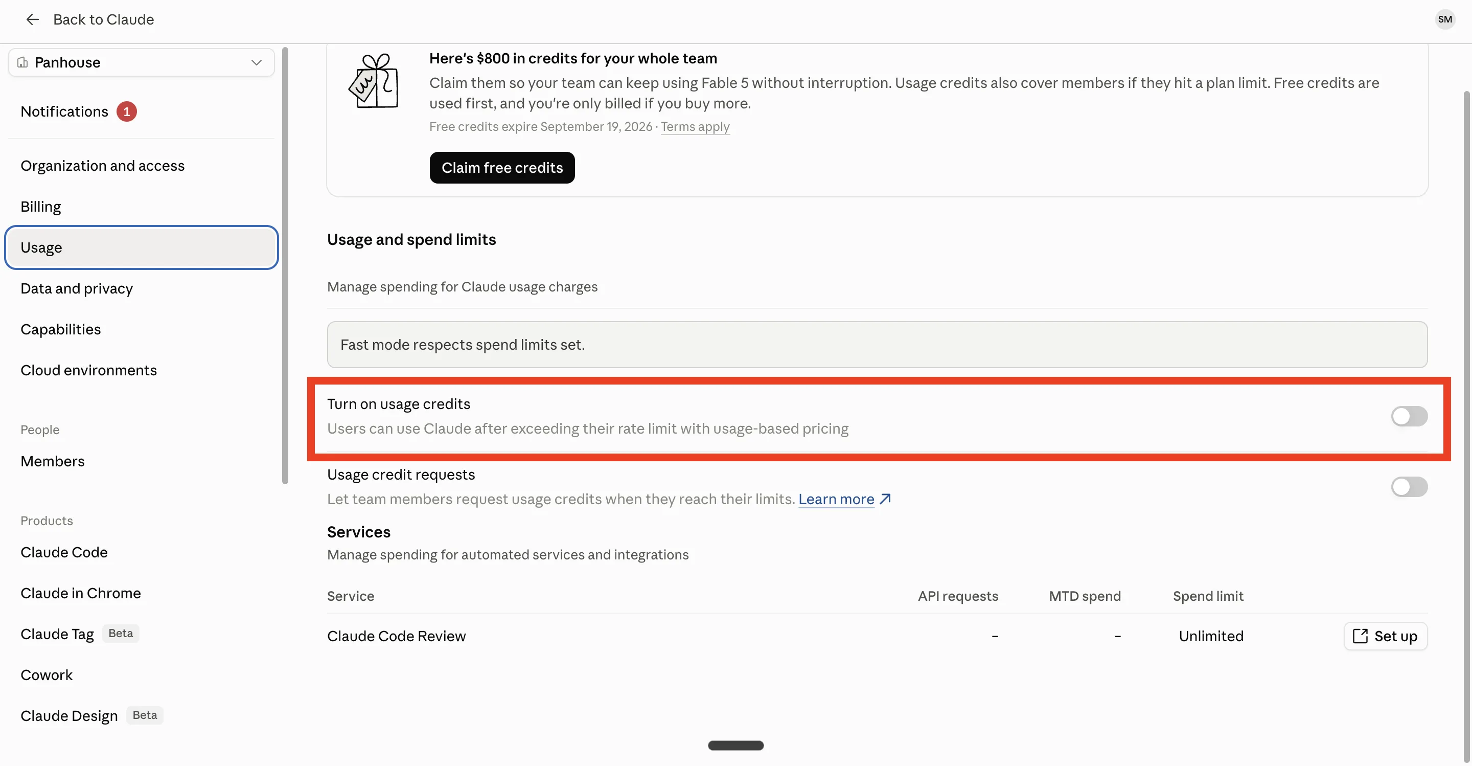 Teamプランの管理者画面（Usage）に表示される「Turn on usage credits」のトグル